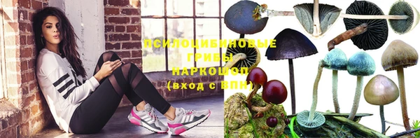 спайс Усинск