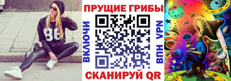 Псилоцибиновые грибы мухоморы Асино