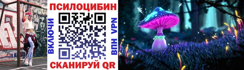 Псилоцибиновые грибы мицелий  Купить закладки  Асино 